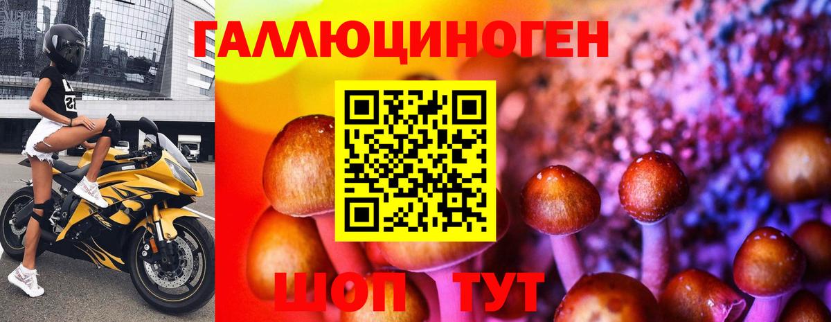 Псилоцибиновые грибы GOLDEN TEACHER Киселёвск