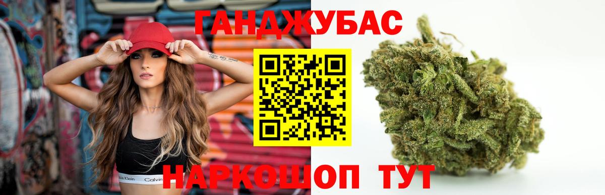 Конопля сатива Киселёвск